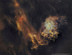 blazepress:  Flaming Star Nebula.