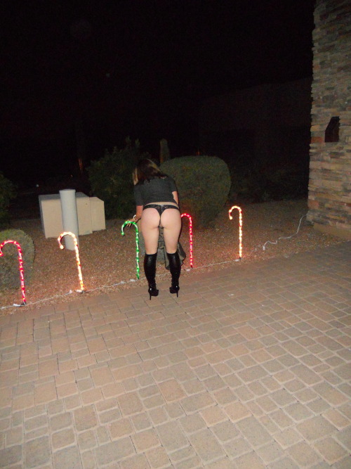 Another Christmas Picture.Â  Decorating outdoors this time.Â  Do you like my decorating?
