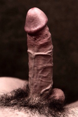 iammegadaddyissues:  For love of cock: an upright, nicely veined