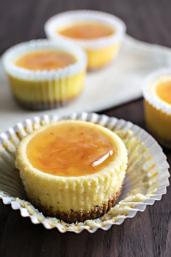 verticalfood:  Orange Ricotta Cheesecake Cupcakes 