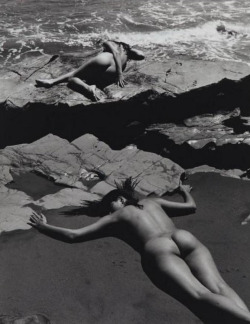 vivipiuomeno:  Andrè de Dienes ph. - Deux nus sur la plage, 1950