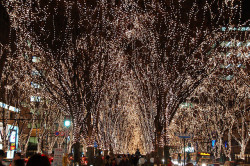 r-e-i-l-a:  SENDAI Pageant of Starlight by tototti on Flickr.