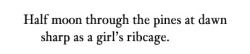 acentury-at-sea:Anne Carson, from Plainwater-Essays and Poetry