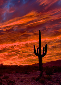 coiour-my-world: stunning southwest sunset | by Tom Davison