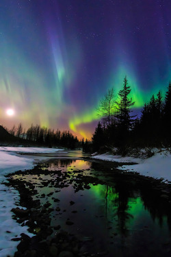 tect0nic:  Aurora moonset by Cj Kale via 500px. 