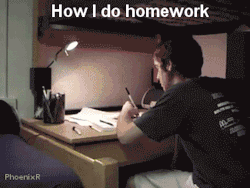 The Absolute Best GIFs