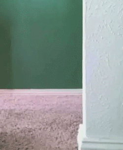 The Best of Tumblr Blog - 1000notes.com