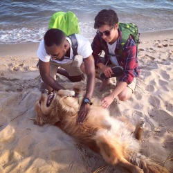 cloudgenerat0r:  Random dog that chased us down the shoreline