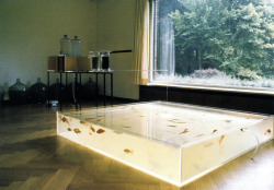 installationia:  (Hans Haacke, Rhinewater Purification Plant,