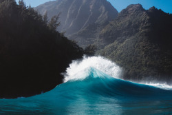 nevver:  Surf’s up, Matt Porteous