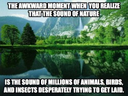 off-the-wall-geek:  make-the-dead-love:  The sound of nature.
