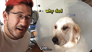dogiplier:  Chica   ThoughtsSee more C T here!