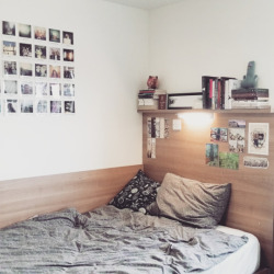 darling-you-were-marvelous:  // My room, and favorite study space