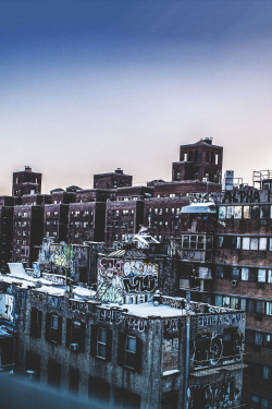 Chilly NYC | © | AOI