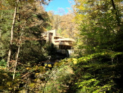 lupa-bellator:  designsbyfranklloydwright:  Fallingwater Friday! 