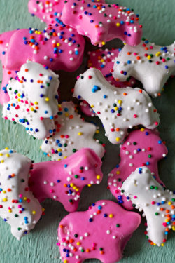 guardians-of-the-food:  Homemade Circus Animal Cookies 