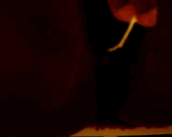 Sticky pussy play in the dark