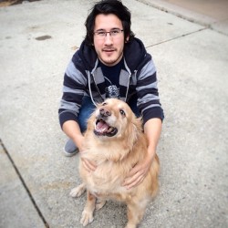 appreciate-marks-face:  markiplier feat. puppies &lt;3