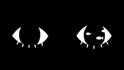 Under the reality