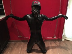 sonypup:  Sony in rubber and Fox 🐶