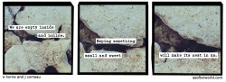 softerworld:  A Softer World: 1193 (unfurnished, but with care