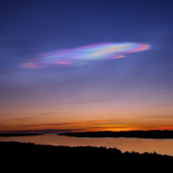 astronomyblog:    Polar stratospheric clouds or PSCs, also known