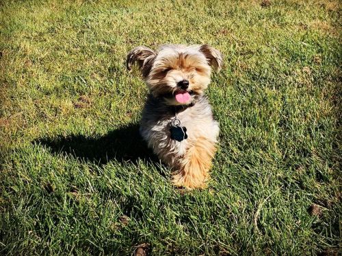 Took my babies to the park, we all love being in the sun.  Queeny