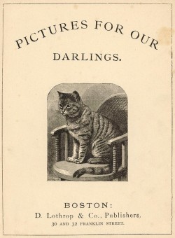Special Collections