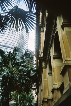 adamxelliott:  Photo by Adam Elliott 
