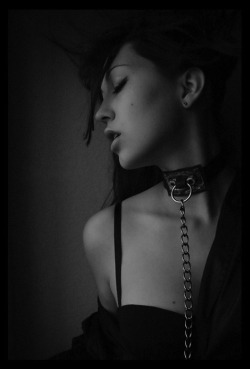hellequinn:  I always wanted to be collared. 