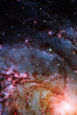 infinity-imagined:  The Southern Pinwheel Galaxy 