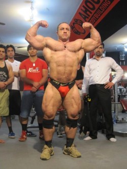 musclelovergr:   Iranian bodybuilder Morteza Roshanzamir See