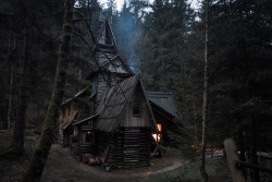 brutalgeneration:  Somewhere in the Bosnian forest (by BricePortolano)