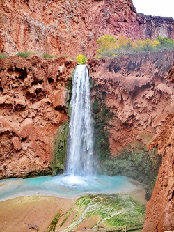 breathtakingdestinations:Mooney Falls - Arizona - USA (by Alan