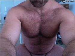 meatandgreet:  stocky-men-guys:  Big, strong and sexy menStocky