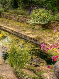 yellowrose543:English garden