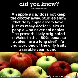 did-you-kno:  An apple a day does not keep the doctor away. Studies