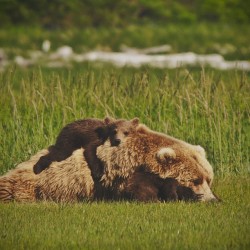 natureconservancy:  Mother nature’s recipes. 