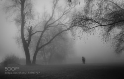 go4photos:  -Foggy morning- by egyedviktor 