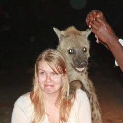 glowhyena:  sturmtruppen:  (via That awkward moment when a hyena