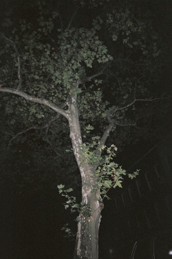 graceandgirlhood:Jessica Lossner