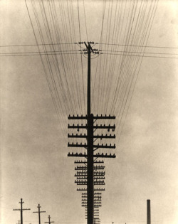 howtoseewithoutacamera:  by Tina Modotti Telegraph Wires, Mexico