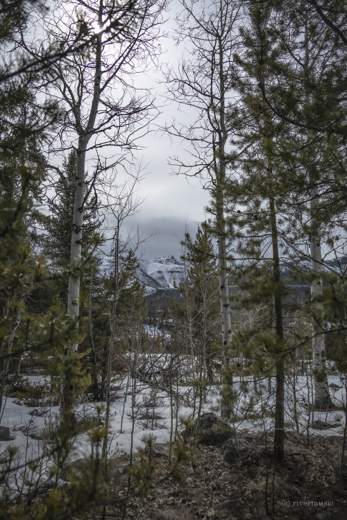 riverwindphotography:  Spring on the Beartooth Plateau, Wyoming.