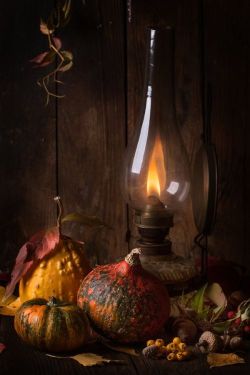 swansong-willows:  (via Pin by Betsy Spencer on Autumn in Brown