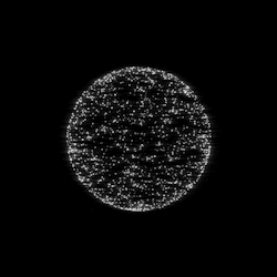 jameszanoni:  test_0287 