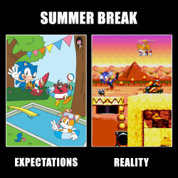 sonicthehedgehog:  Ah, summer…   they say “fun in the sun”I