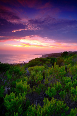 tulipnight:  Sunset at Crystal Cove by Nick Carver Photography