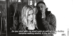 Bisexual agenda