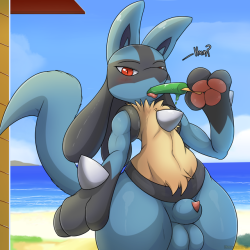 kuroodod:  —— You and your Lucario head down to the beach.