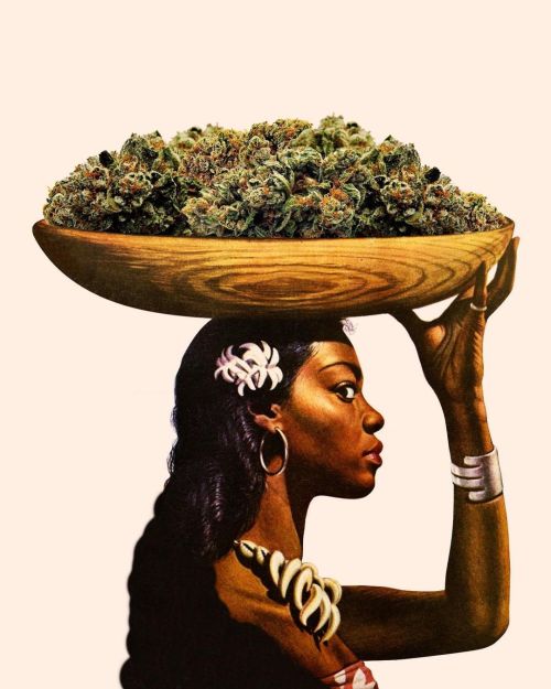 stonerparty:    bambashkart  